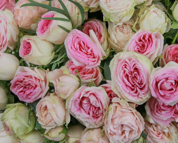 Квіти в коробці Зефірка