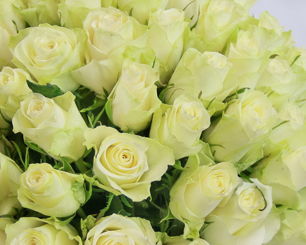 Квіти у коробці Світле почуття