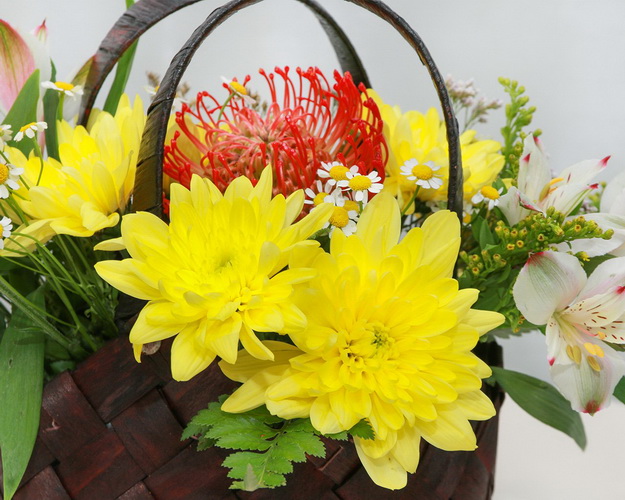 Кошик квітів Ранок у лісі