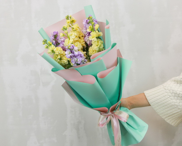 Букет з 7 матіол ніжний мікс у дизайнерській упаковці