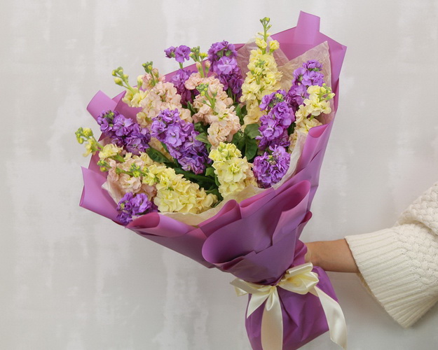 Букет з 19 матіол ніжний мікс в упаковці