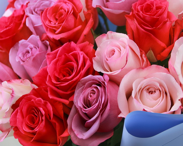 Букет із 25 троянд мікс рожевих кольорів в упакуванні