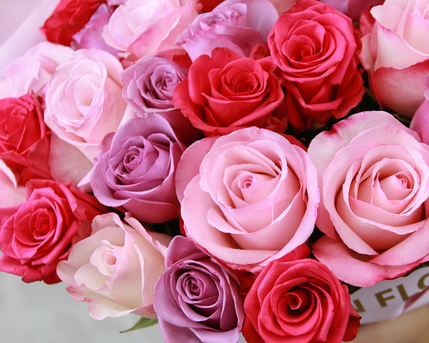 Букет із 35 троянд мікс фіолетових та рожевих кольорів в упакуванні