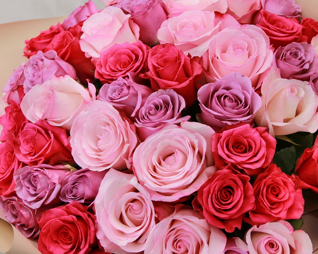 Букет із 51 мікс фіолетових кольорів в упакуванні