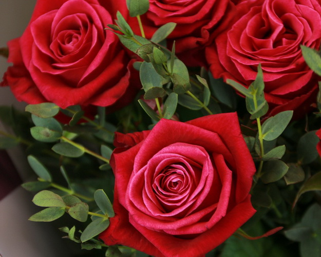 Букет з 15 червоних троянд з евкаліптом