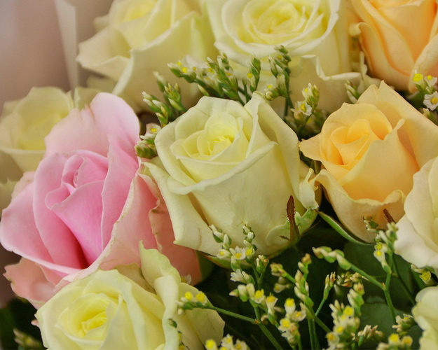 Букет із 25 троянд кремовий мікс в упакуванні