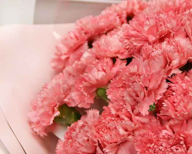 Букет із 35 рожевих гвоздик у стильній упаковці.