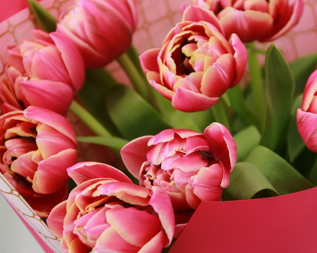 Букет з 9 піоноподібних тюльпанів в упаковці
