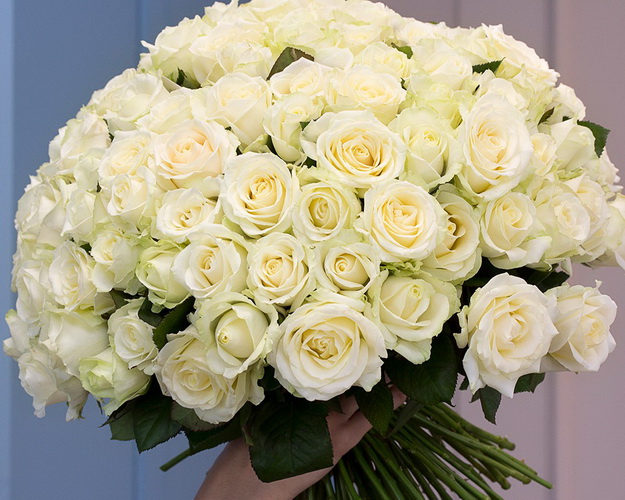 Букет із 101 білоі троянди