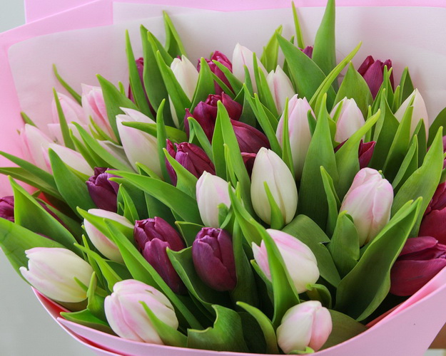 Букет із 35 тюльпанів мікс в упаковці