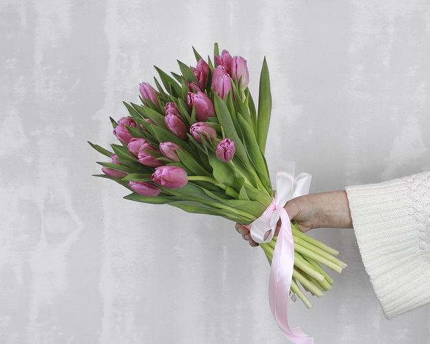 Букет із 25 рожевих тюльпанів стандарт під стрічку.