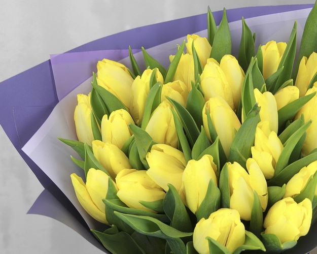 Букет із 25 жовтих тюльпанів у дизайнерській упаковці