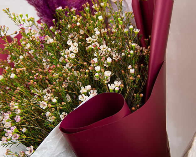 Букет ДУО з 19 гілок хамелаціуму з кортадерією