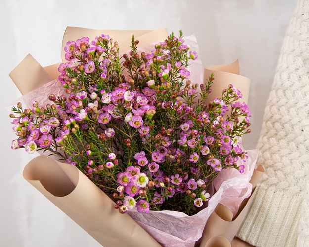 Букет ДУО з 11 гілок хамелаціуму