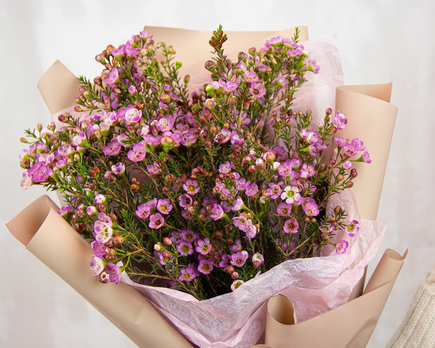 Букет ДУО з 11 гілок хамелаціуму