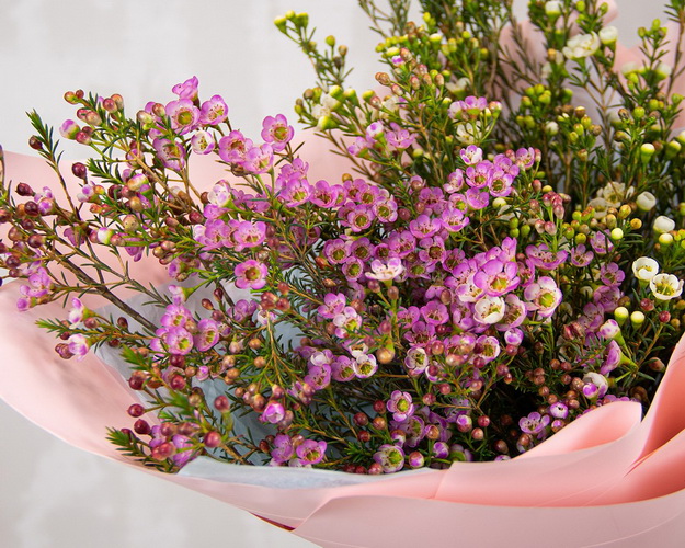 Букет ДУО з 19 гілок хамелаціуму