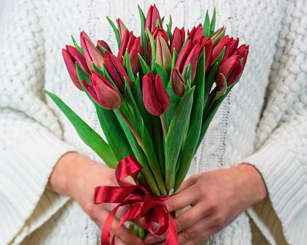 Букет із 25 червоних тюльпанів стандарт під стрічку