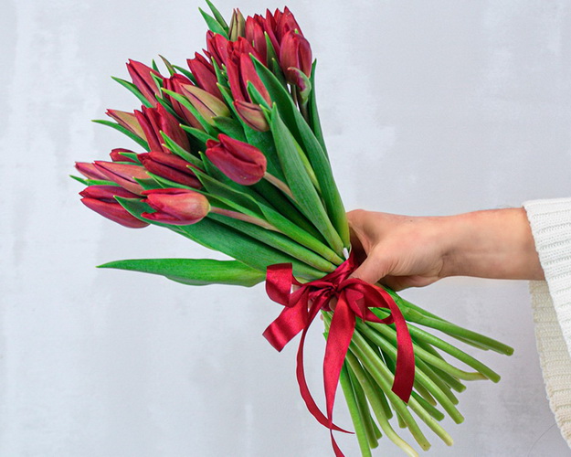 Букет із 25 червоних тюльпанів стандарт під стрічку