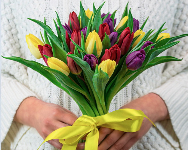 Букет із 25 тюльпанів яскравий мікс під стрічку
