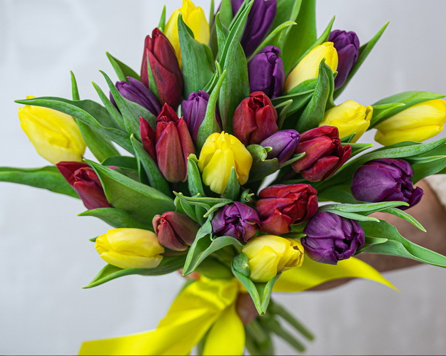 Букет із 25 тюльпанів яскравий мікс під стрічку