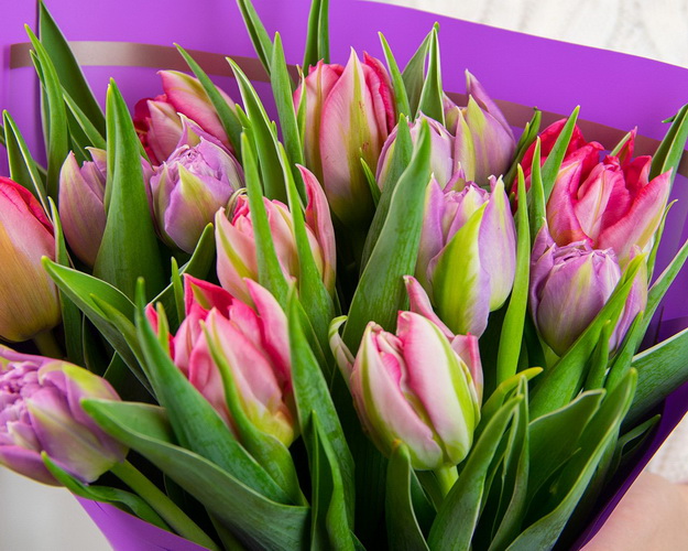 Букет із 15 тюльпанів піоноподібних мікс у дизайнерській упаковці