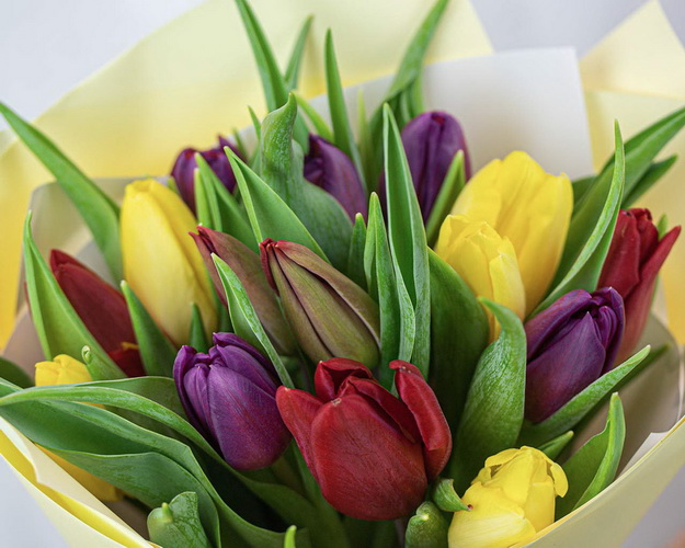 Букет із 15 тюльпанів стандарт яскравий мікс в упаковці