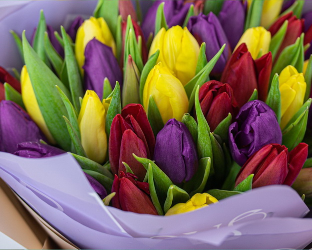 Букет із 35 тюльпанів яскравий мікс в упаковці