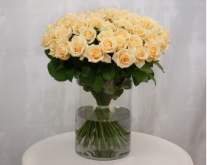 Троянда персиково-кремова від 60 см