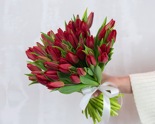 Букет із 51 червоного тюльпану під стрічку