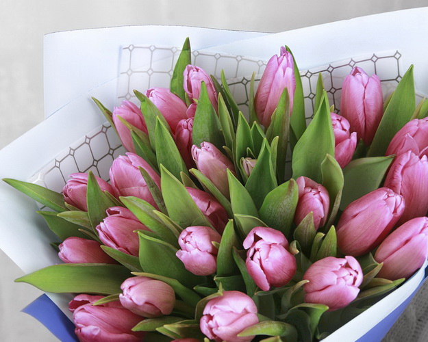 Букет із 25 рожевих тюльпанів у дизайнерській упаковці