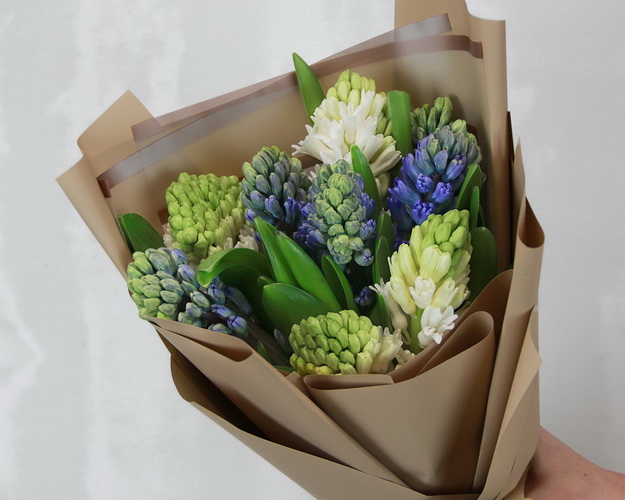 Букет з 9 гіацинтів у стильній упаковці