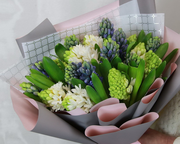Букет з 19 гіацинтів у стильній упаковці