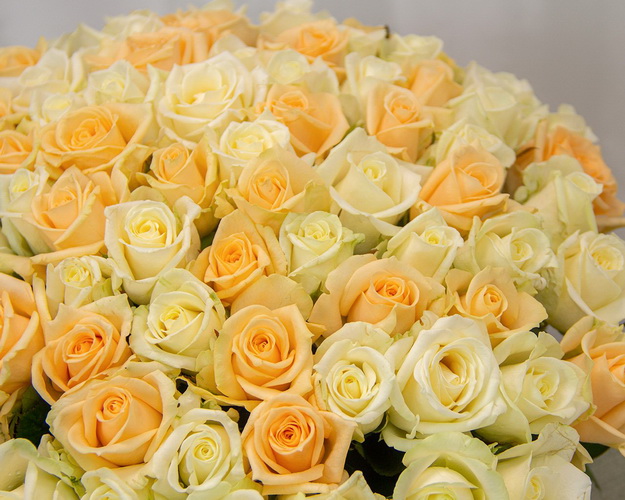 Букет із 101 троянди Каприз