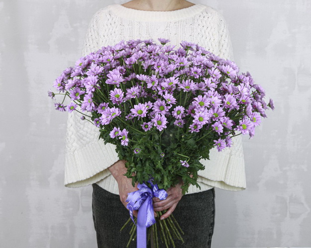 Букет із 25 фіолетових кущових хризантем під стрічку