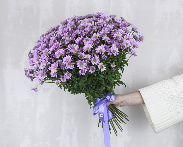 Букет із 25 фіолетових кущових хризантем під стрічку