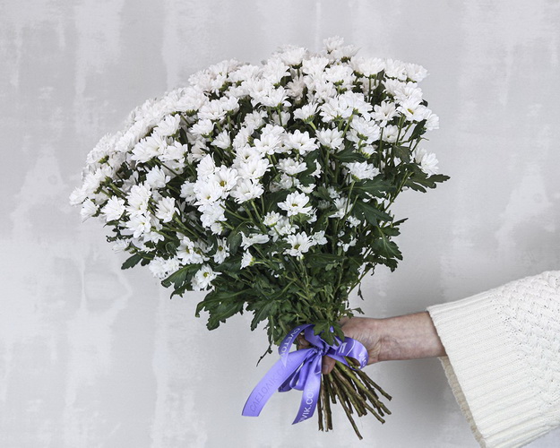 Букет із 25 білих кущових хризантем під стрічку