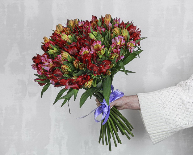 Букет із 25 альстромерій яскравий мікс під стрічку