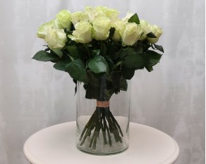 Троянда імпорт біло-зелена