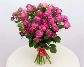 Троянда кущова Леді Бомбастик