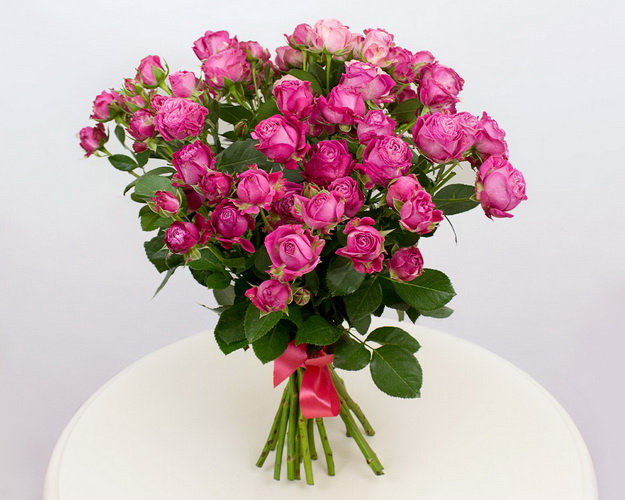 Троянда кущова Леді Бомбастик