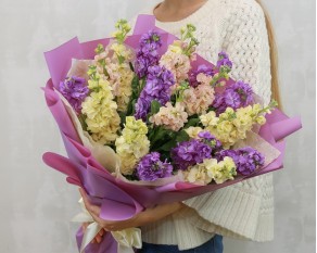 Букет з 19 матіол ніжний мікс в упаковці