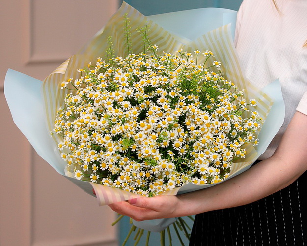 Букет із 25 матрикарій із зеленню в стильній упаковці