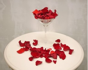 Яскраво-бордові Пелюстки троянд