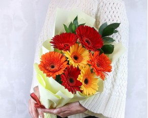 Букет з 7 гербер стандарт мікс у стильній упаковці із зеленню