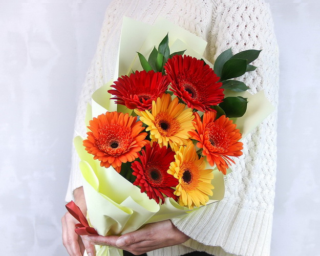 Букет з 7 гербер стандарт мікс у стильній упаковці із зеленню