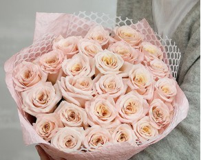 Букет з 25 імпортних пудрових троянд в упакуванні