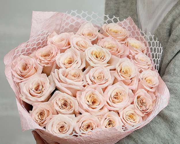 Букет з 25 імпортних пудрових троянд в упакуванні