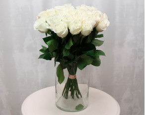 Троянда імпорт біла