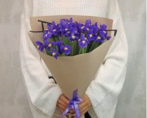 Букет із 15 синіх ірисів у стильній упаковці.