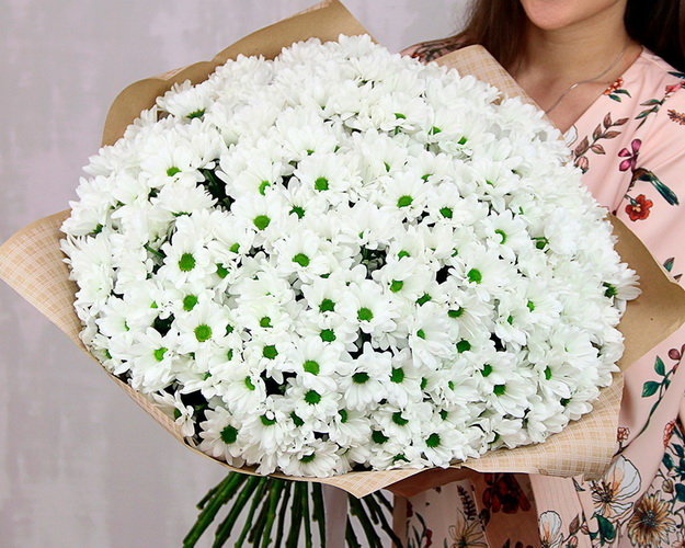 Букет із 49 білих кущових хризантем у стильній упаковці.